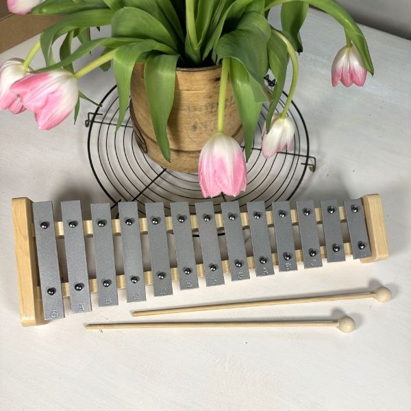 Bild von Xylophone "MAXI-milian"